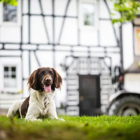 Hof Koehne - Haus Am Spielplatz - Kuh Appartement Schmallenberg