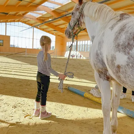 Hof Koehne - Haus Am Spielplatz - Kuh Appartement Schmallenberg