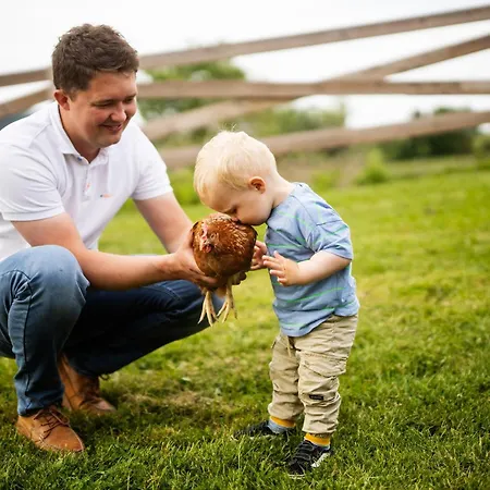 Hof Koehne - Haus Am Spielplatz - Kuh