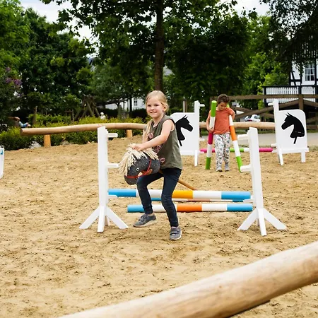 Hof Koehne - Haus Am Spielplatz - Kuh Schmallenberg