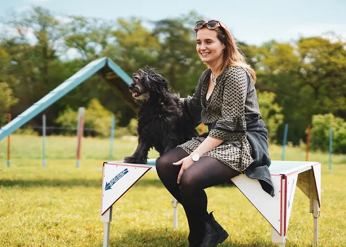 Hof Koehne - Haus Am Spielplatz - Kuh *