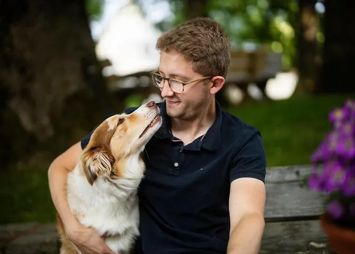 Hof Koehne - Haus Am Spielplatz - Kuh Appartement Schmallenberg