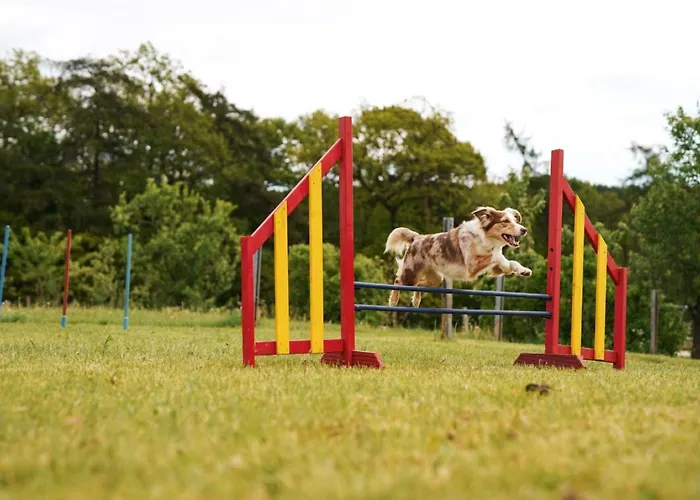Hof Koehne - Haus Am Spielplatz - Kuh Appartement