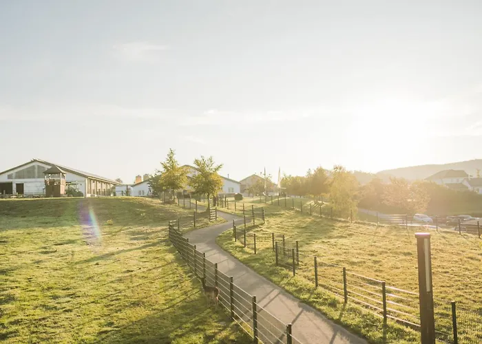 Hof Koehne - Haus Am Spielplatz - Kuh Appartement Schmallenberg