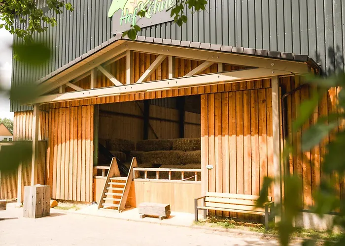 Hof Koehne - Haus Am Spielplatz - Kuh