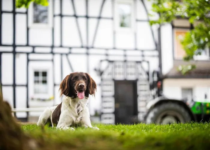 Hof Koehne - Haus Am Spielplatz - Kuh Appartement Schmallenberg