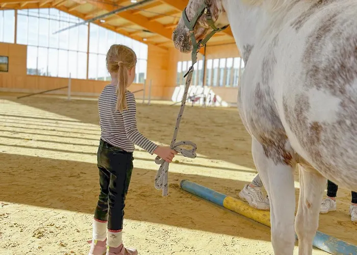 Hof Koehne - Haus Am Spielplatz - Kuh Appartement Schmallenberg